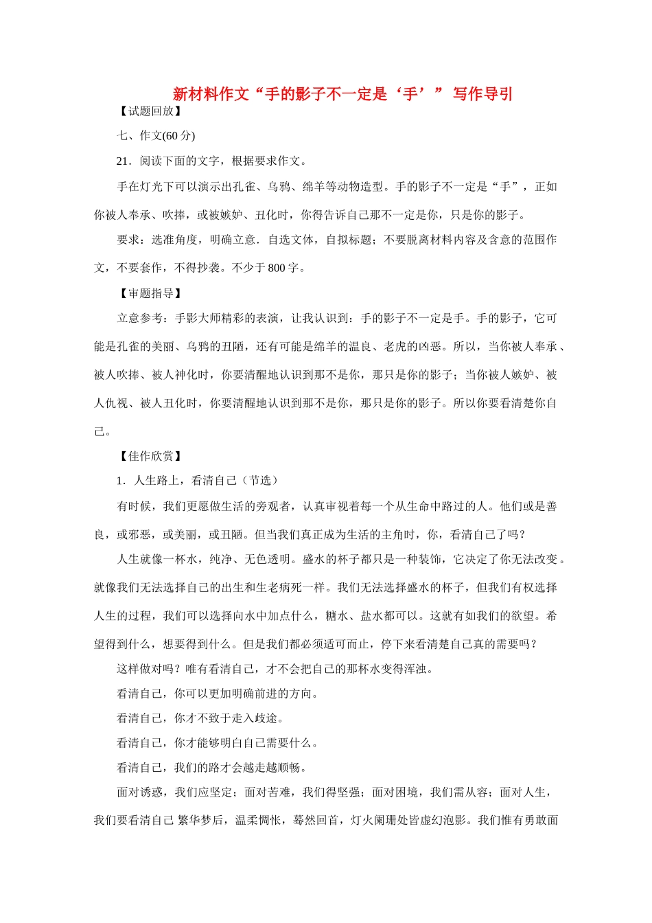 【吹尽狂沙系列】高中语文 经典话题作文题写作指导 手的影子不一定是 手_第1页