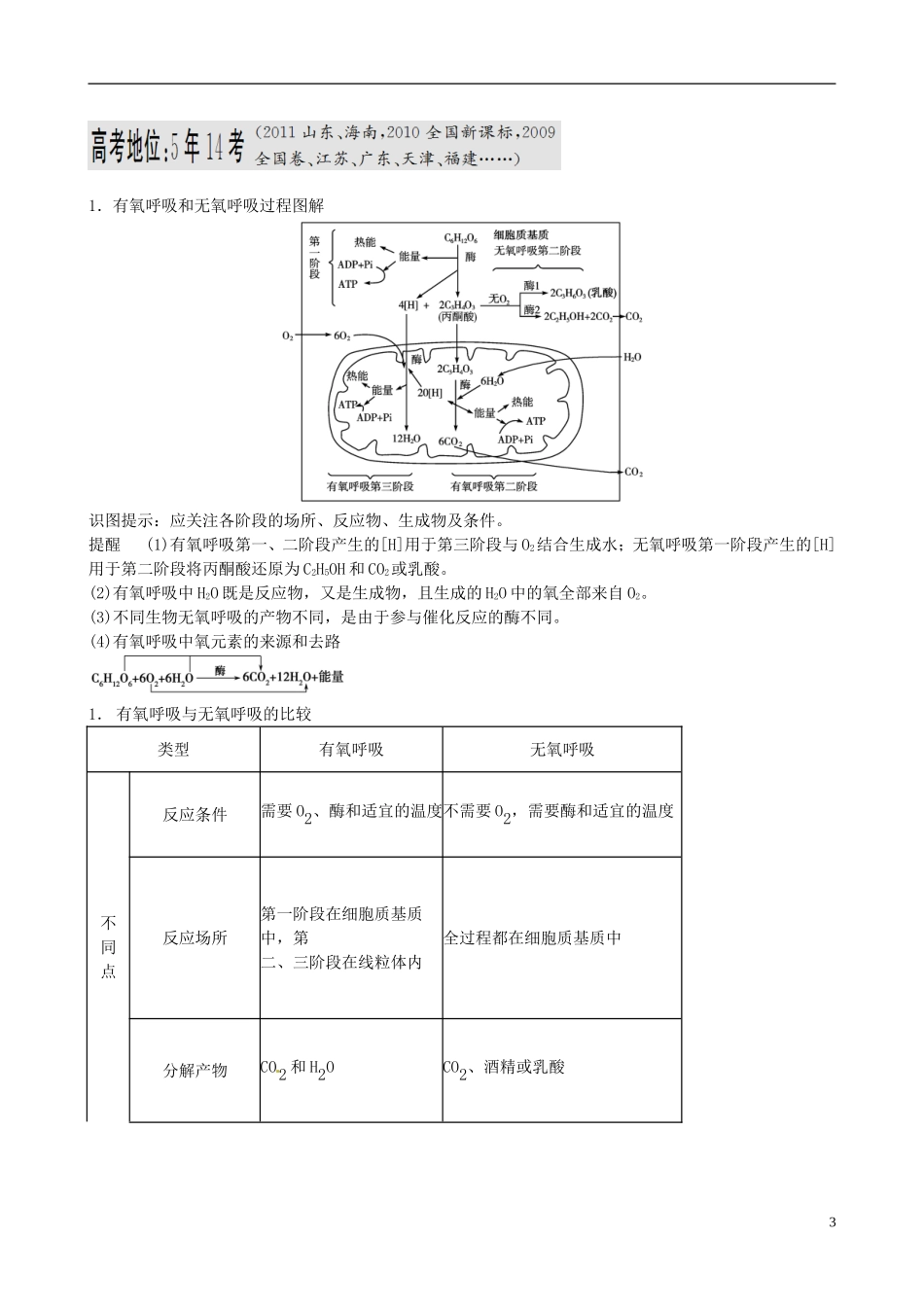 【备考2014】高考生物一轮复习 第2讲 ATP的主要来源学案 新人教版必修1 _第3页