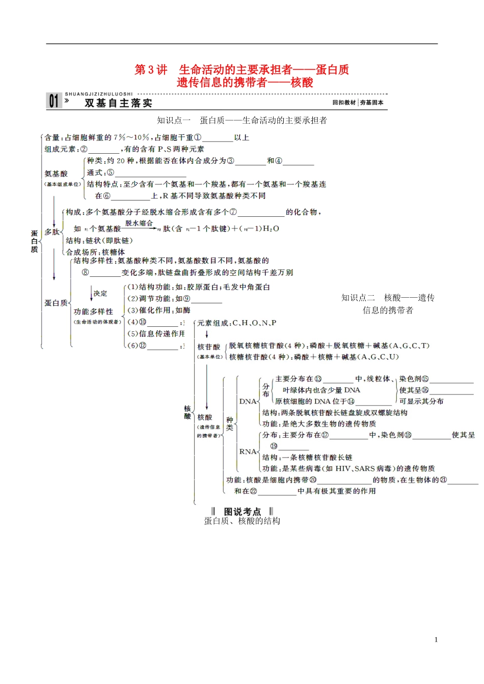 【备考2014】高考生物一轮复习 第3讲 生命活动的主要承担者学案 新人教版必修1 _第1页