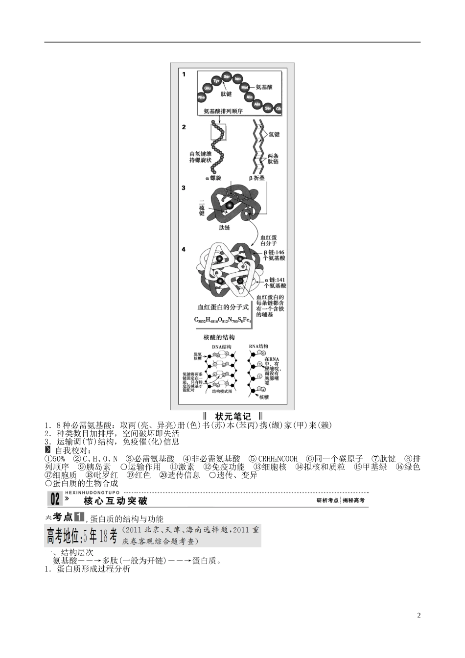 【备考2014】高考生物一轮复习 第3讲 生命活动的主要承担者学案 新人教版必修1 _第2页