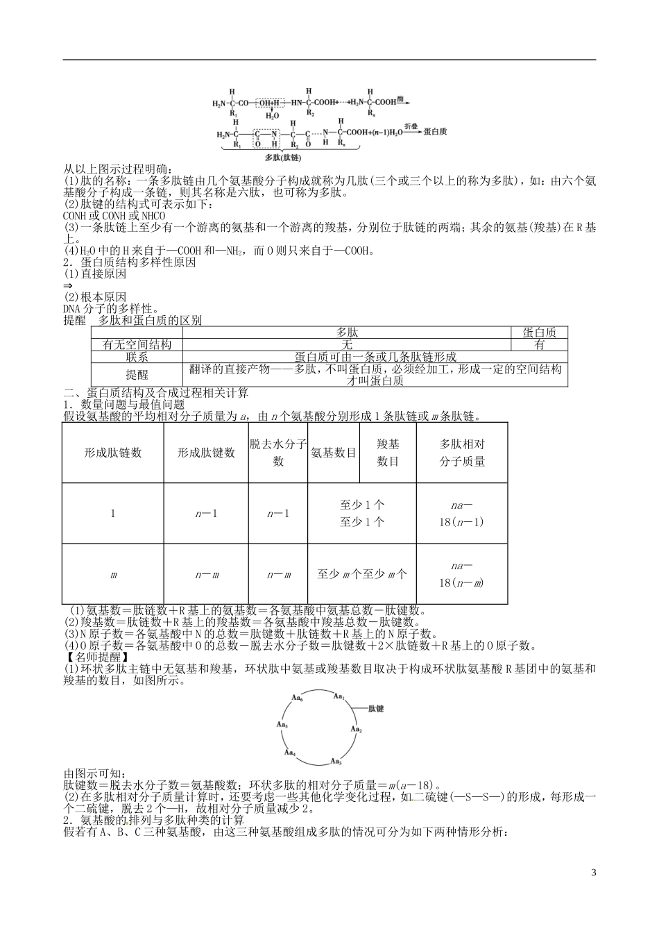 【备考2014】高考生物一轮复习 第3讲 生命活动的主要承担者学案 新人教版必修1 _第3页
