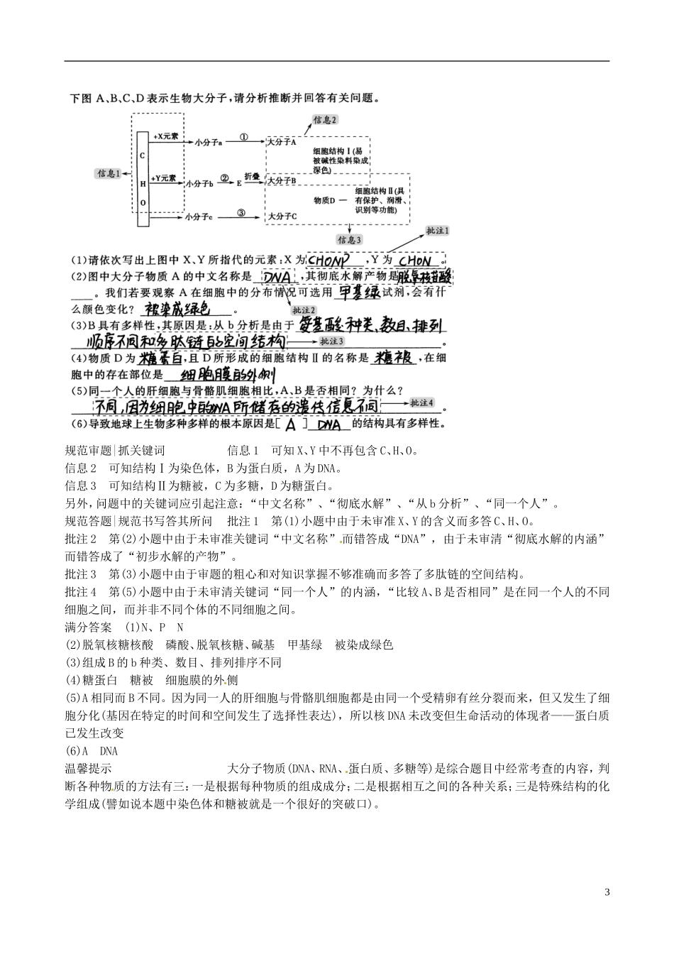 【备考2014】高考生物一轮复习 第一单元 单元整合学案 新人教版必修1 _第3页