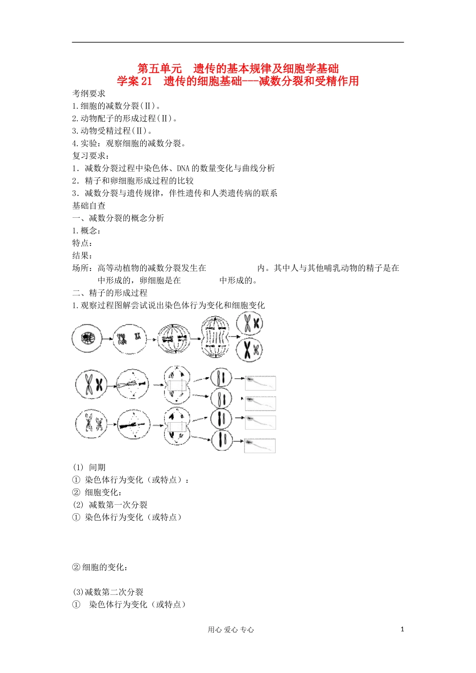 【导与练】2013届高考生物一轮复习 第一部分学案21 遗传的细胞基础---减数分裂和受精作用 新人教版_第1页