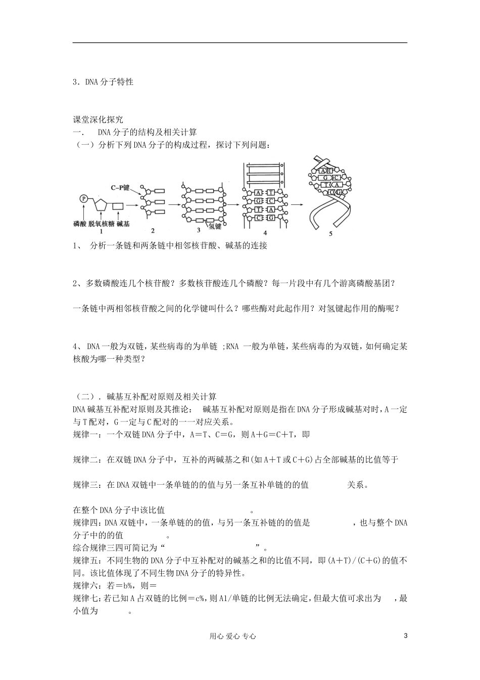 【导与练】2013届高考生物一轮复习 第一部分学案26 DNA分子的结构、复制及基因是有遗传效应的DNA片段 新人教版_第3页