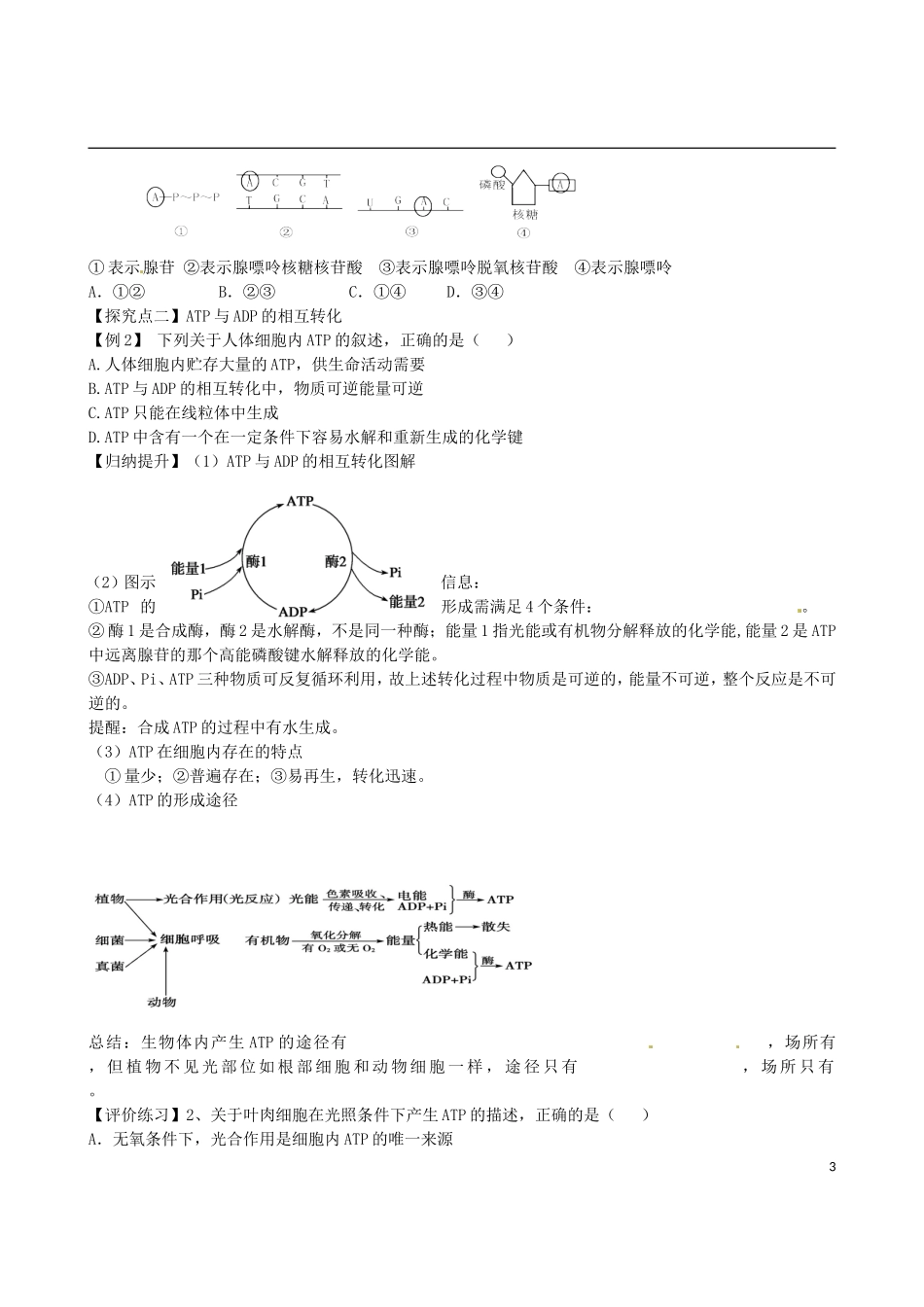 【导与练】福建省长泰县第二中学2014高考生物总复习 第8讲 细胞的能量通货—ATP学案 新人教版必修1_第3页