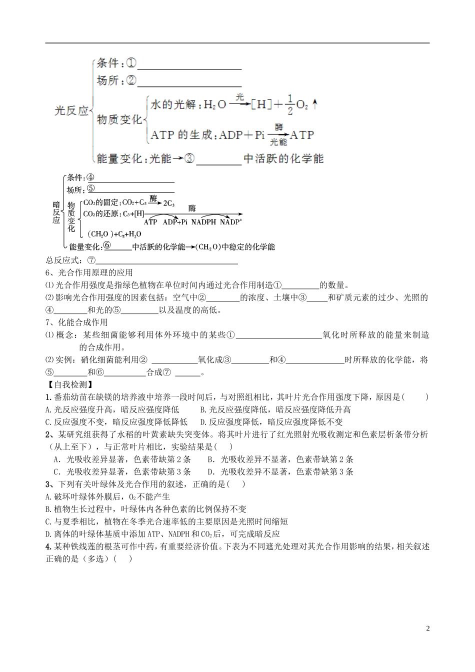 【导与练】福建省长泰县第二中学2014高考生物总复习 第10讲 光合作用学案 新人教版必修1_第2页