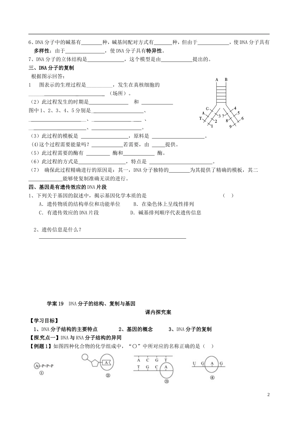 【导与练】福建省长泰县第二中学2014高考生物总复习 第19讲 19DNA分子的结构、复制学案 新人教版必修2_第2页