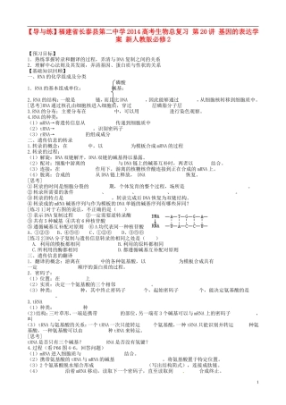 【导与练】福建省长泰县第二中学2014高考生物总复习 第20讲 基因的表达学案 新人教版必修2