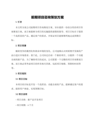 前期项目咨询策划方案