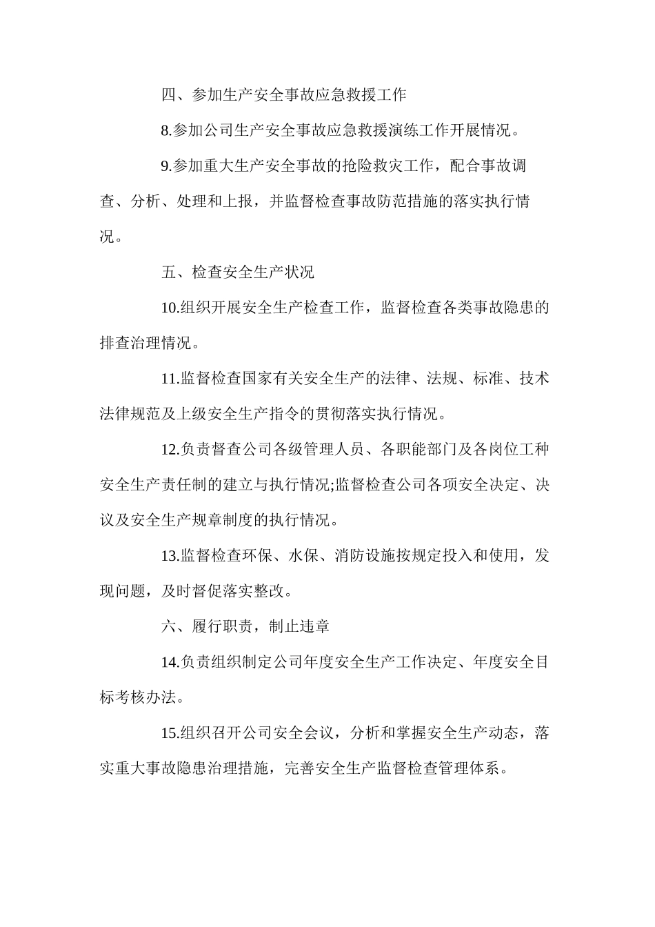副总经理(分管安全)安全生产责任制_第2页