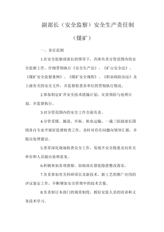 副部长（安全监察）安全生产责任制（煤矿）