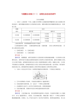 动物生命活动的调节