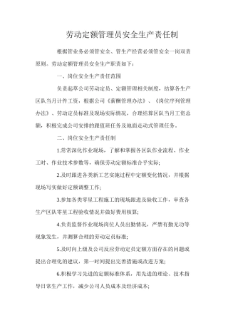 劳动定额管理员安全生产责任制