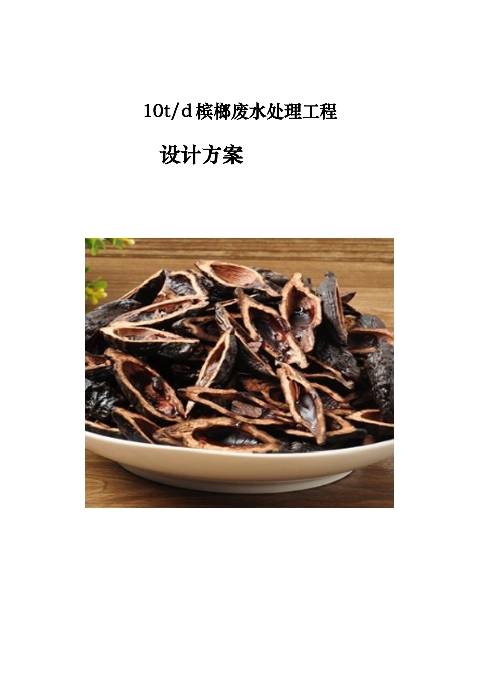 吨槟榔废水处理方案_第1页