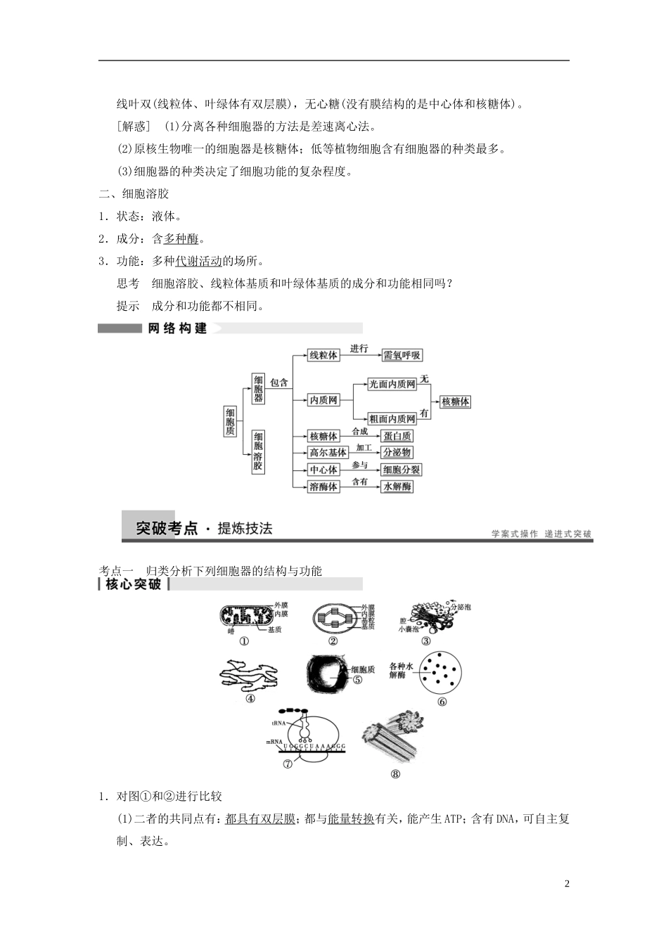 【步步高】2014高考生物一轮复习 第二单元 第4讲细胞质与生物膜系统学案 浙科版_第2页