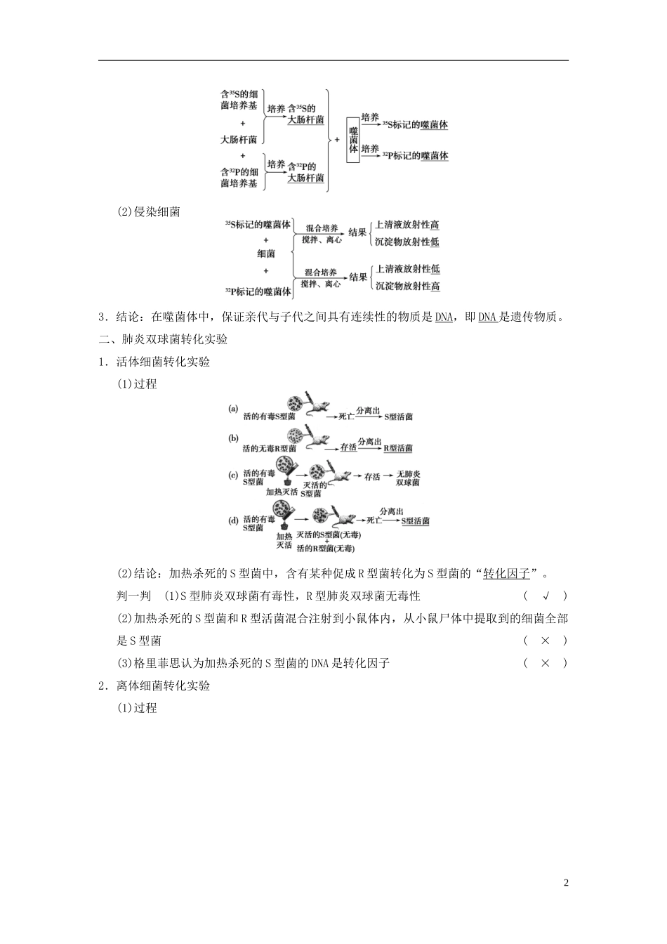 【步步高】2014高考生物一轮复习 第六单元 第16讲核酸是遗传物质的证据学案 浙科版_第2页