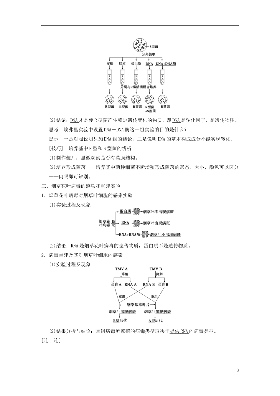 【步步高】2014高考生物一轮复习 第六单元 第16讲核酸是遗传物质的证据学案 浙科版_第3页