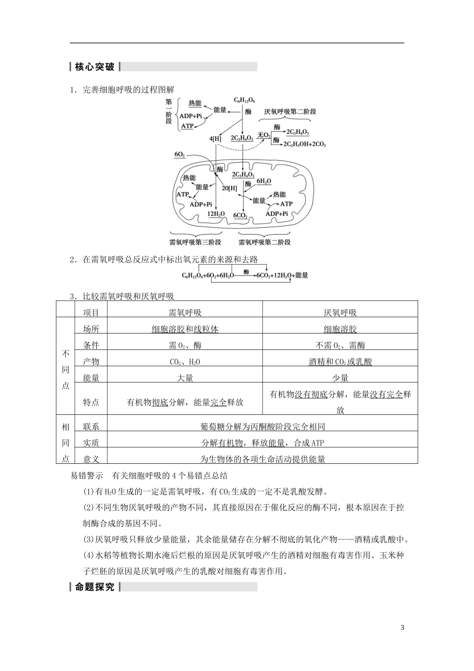 【步步高】2014高考生物一轮复习 第三单元 第8讲细胞呼吸学案 浙科版_第3页
