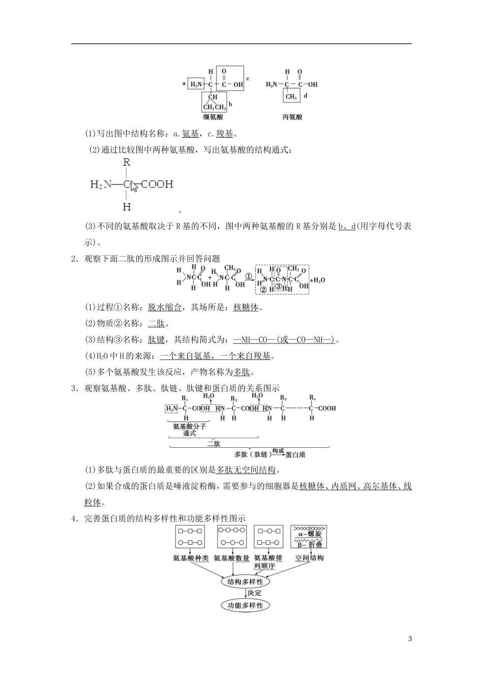 【步步高】2014高考生物一轮复习 第一单元 第2讲蛋白质与核酸学案 浙科版_第3页