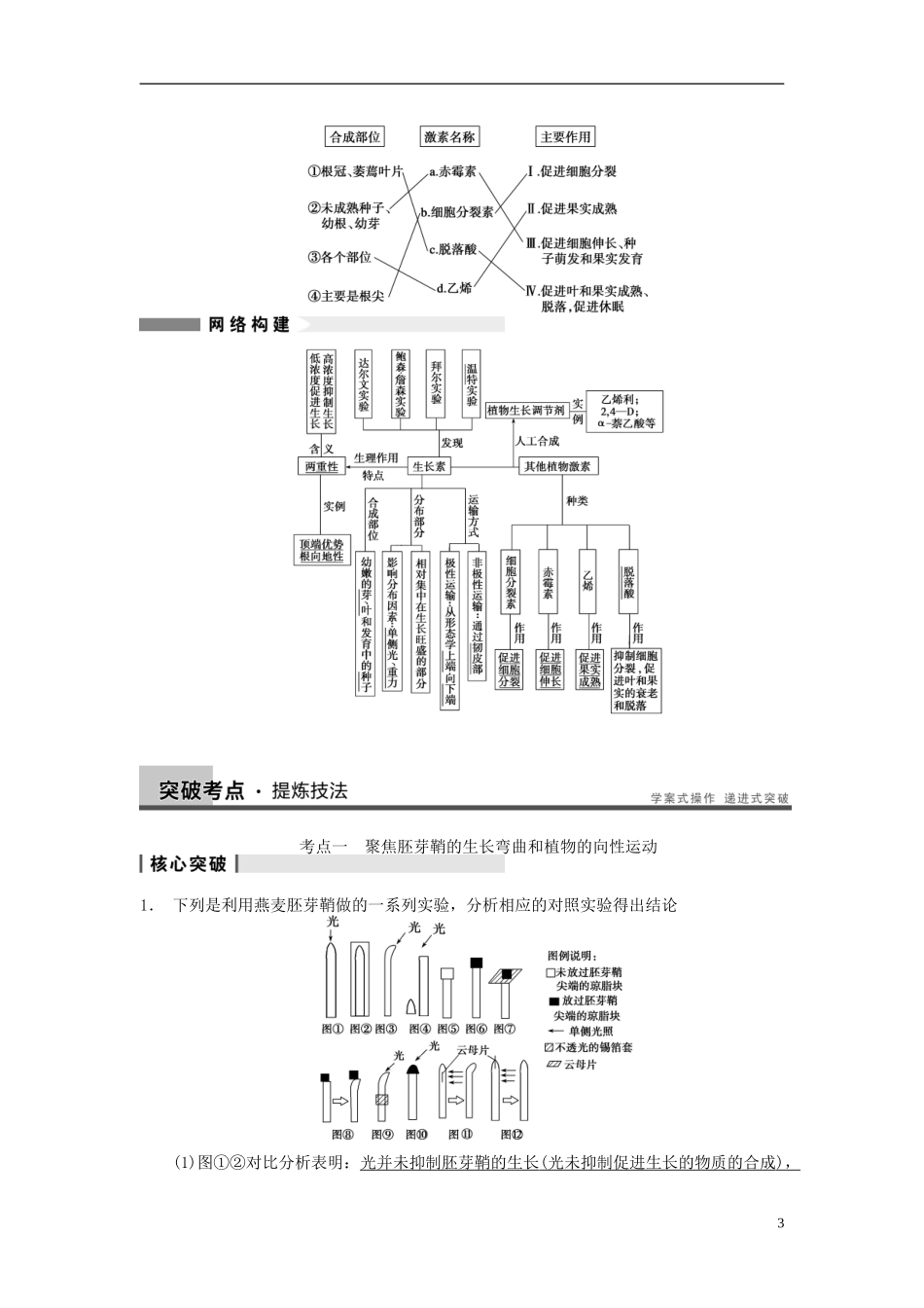 【步步高】（广东专用）2014高考生物一轮复习 第八单元 第30讲植物的激素调节学案 新人教版_第3页