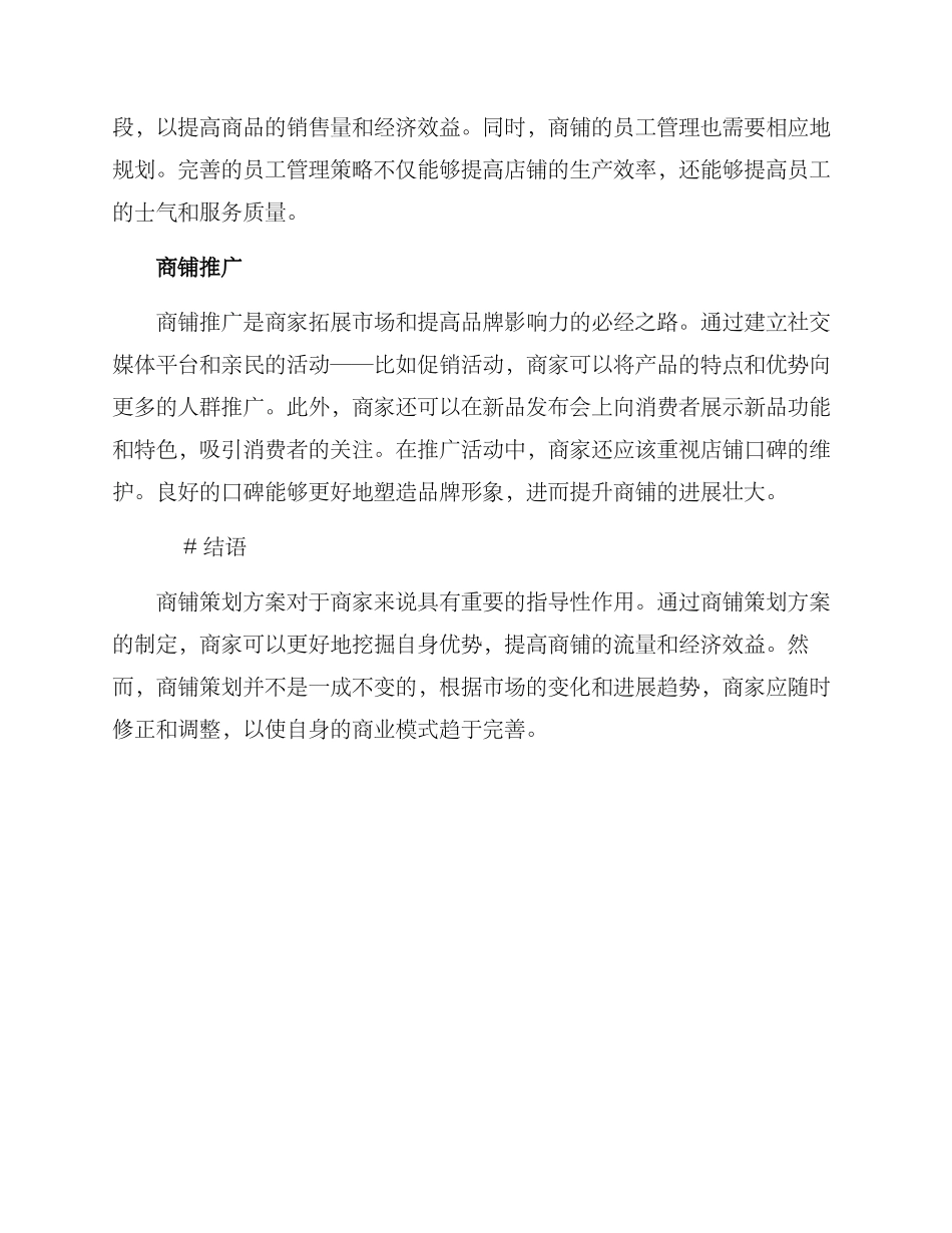 商铺策划方案_第2页