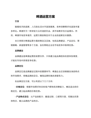 啤酒运营方案