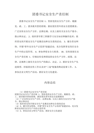 团委书记安全生产责任制
