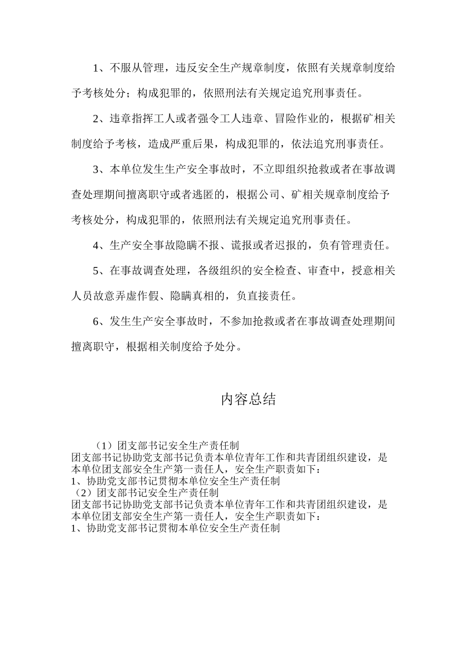 团支部书记安全生产责任制_第2页