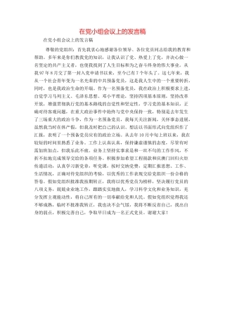 在党小组会议上的发言稿