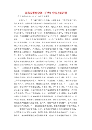在市安委会全体（扩大）会议上的讲话