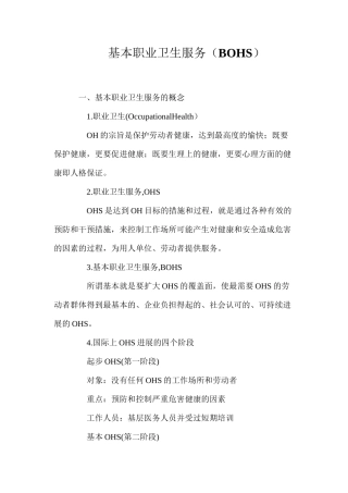 基本职业卫生服务（BOHS）