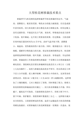 大型桂花树移栽技术要点