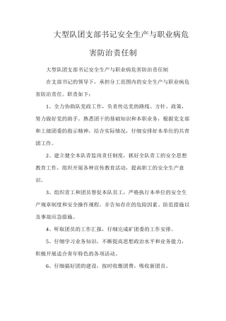 大型队团支部书记安全生产与职业病危害防治责任制