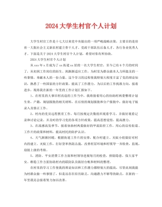 大学生村官个人计划