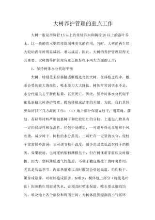 大树养护管理的重点工作