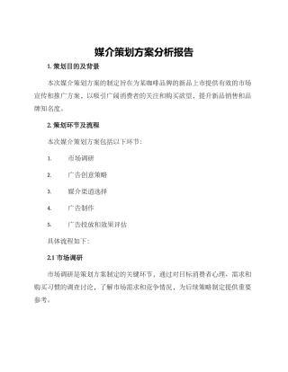 媒介策划方案分析报告