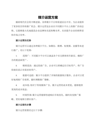 媒介运营方案