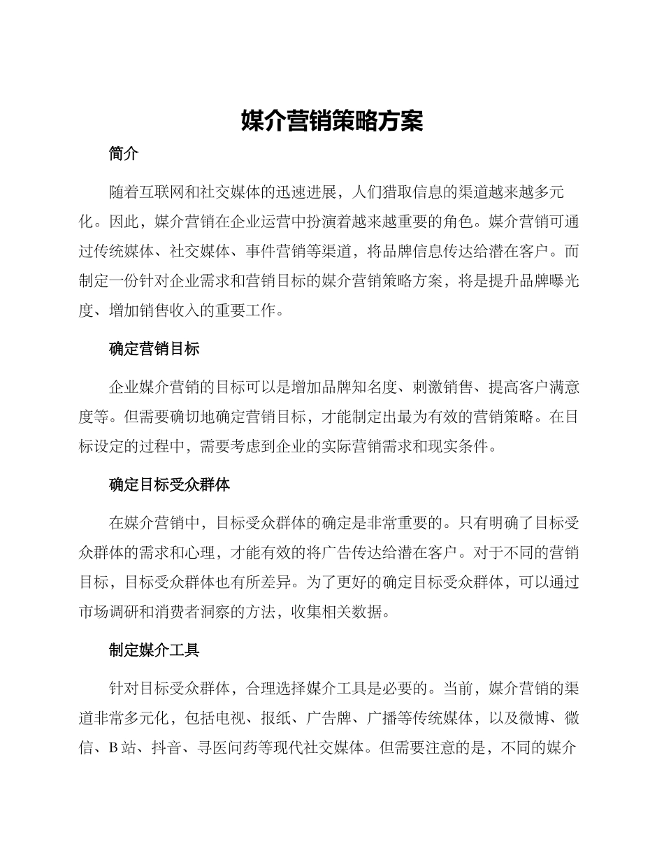 媒介营销策略方案_第1页