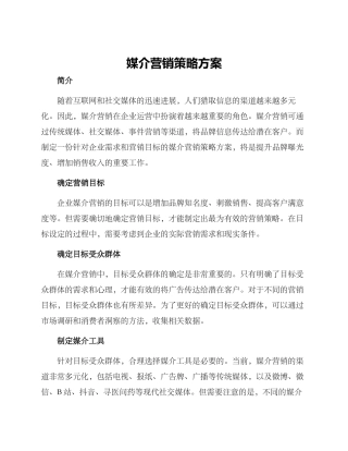 媒介营销策略方案