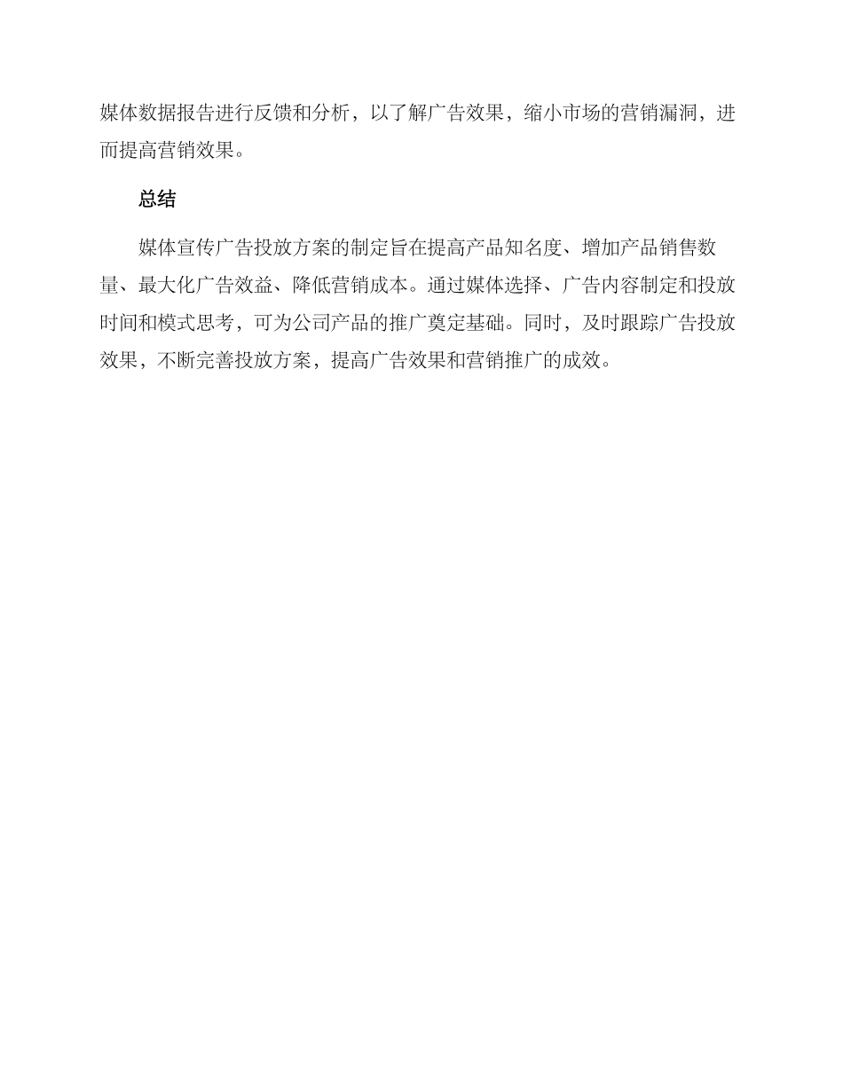媒体宣传广告投放方案_第3页