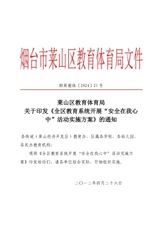 安全在我心中综述