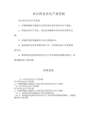 审计科安全生产责任制