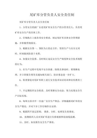 尾矿库分管负责人安全责任制