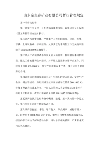 山东金玺泰矿业有限公司暂行管理规定