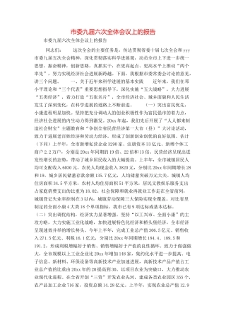 市委九届六次全体会议上的报告