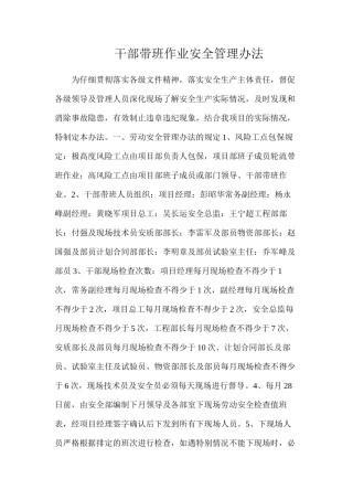 干部带班作业安全管理办法