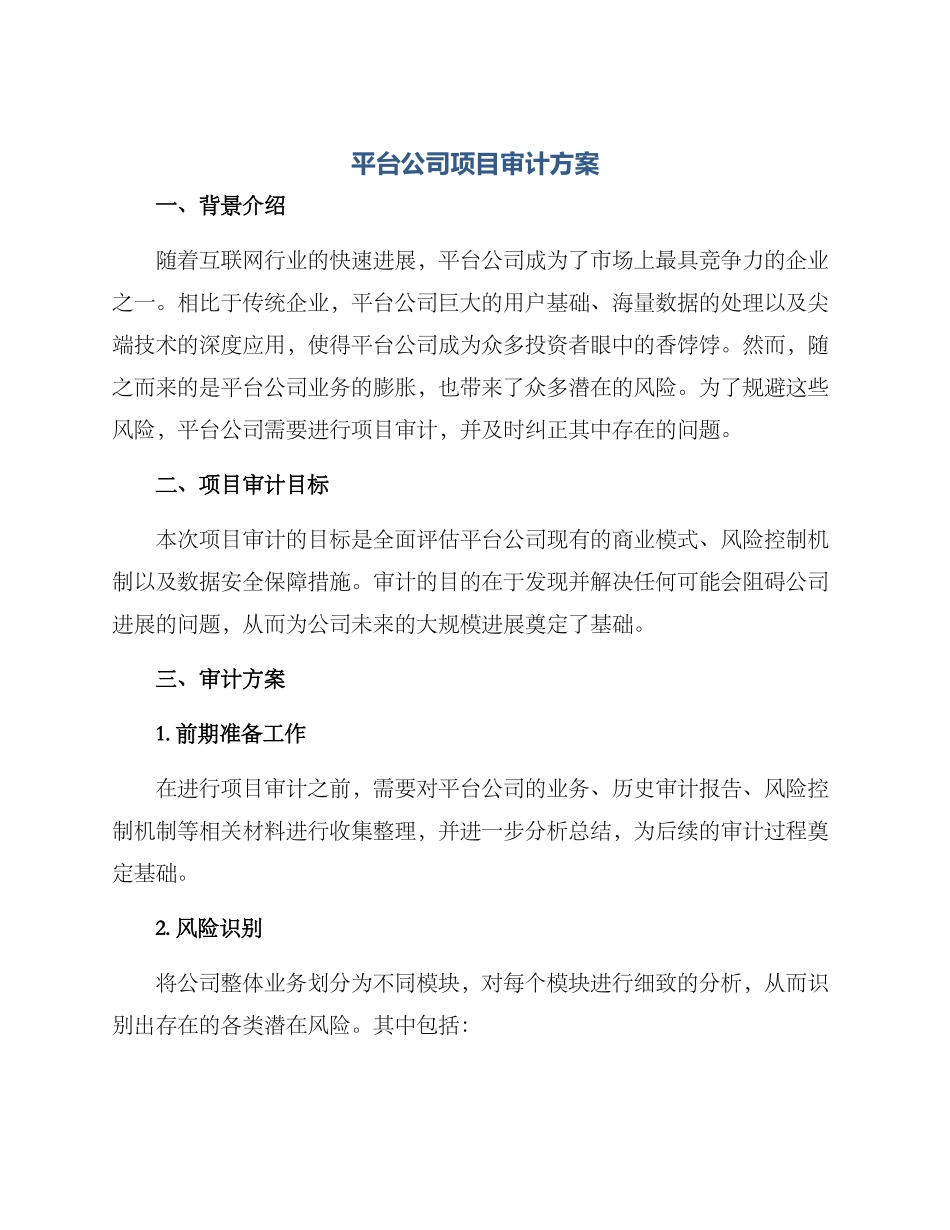 平台公司项目审计方案_第1页