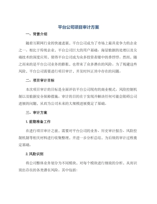平台公司项目审计方案