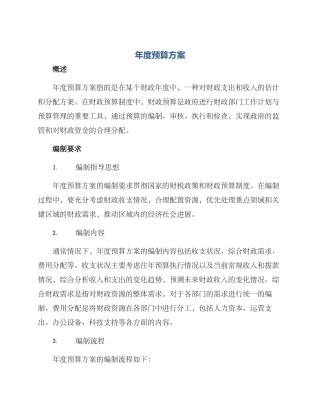 年度预算方案