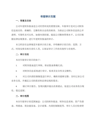 年报审计方案